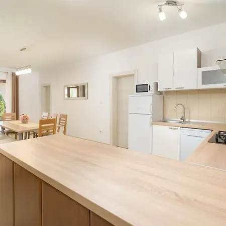 Karla By Istrialux Vila *